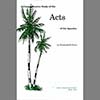 Comprehensive Study of the Acts