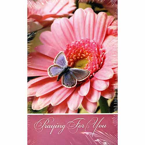 Chula Vista Books Praying for You Flowers Postcard