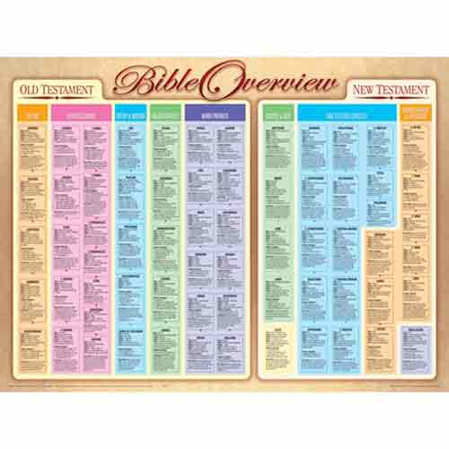chula vista books bible overview wall chart books of the bible wall chart