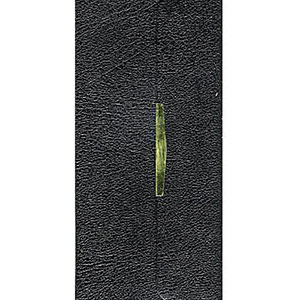 KJV Checkbook Bible