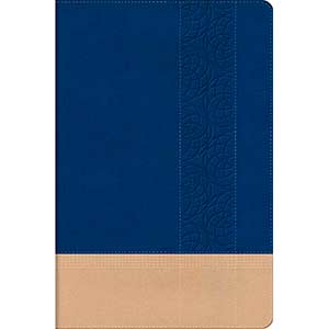 KJV Personal Size Giant Print Reference Bible