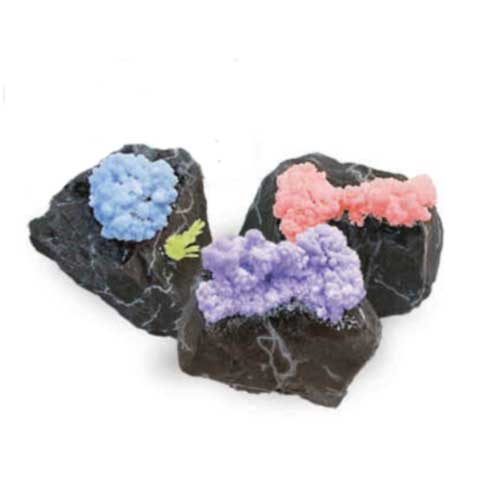 Crystal Growing Kits