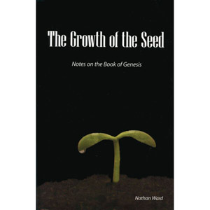 The Growth of the Seed