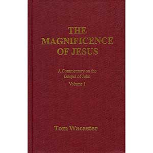 The Magnificence of Jesus