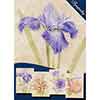 Quiet Strength Sympathy Greeting Cards