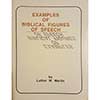 Examples of Biblical Figures of Speech