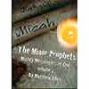 The Minor Prophets Vol. 1
