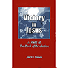 Victory in Jesus 
